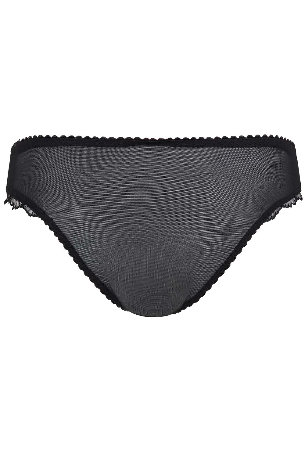 Size 5 Sara brief