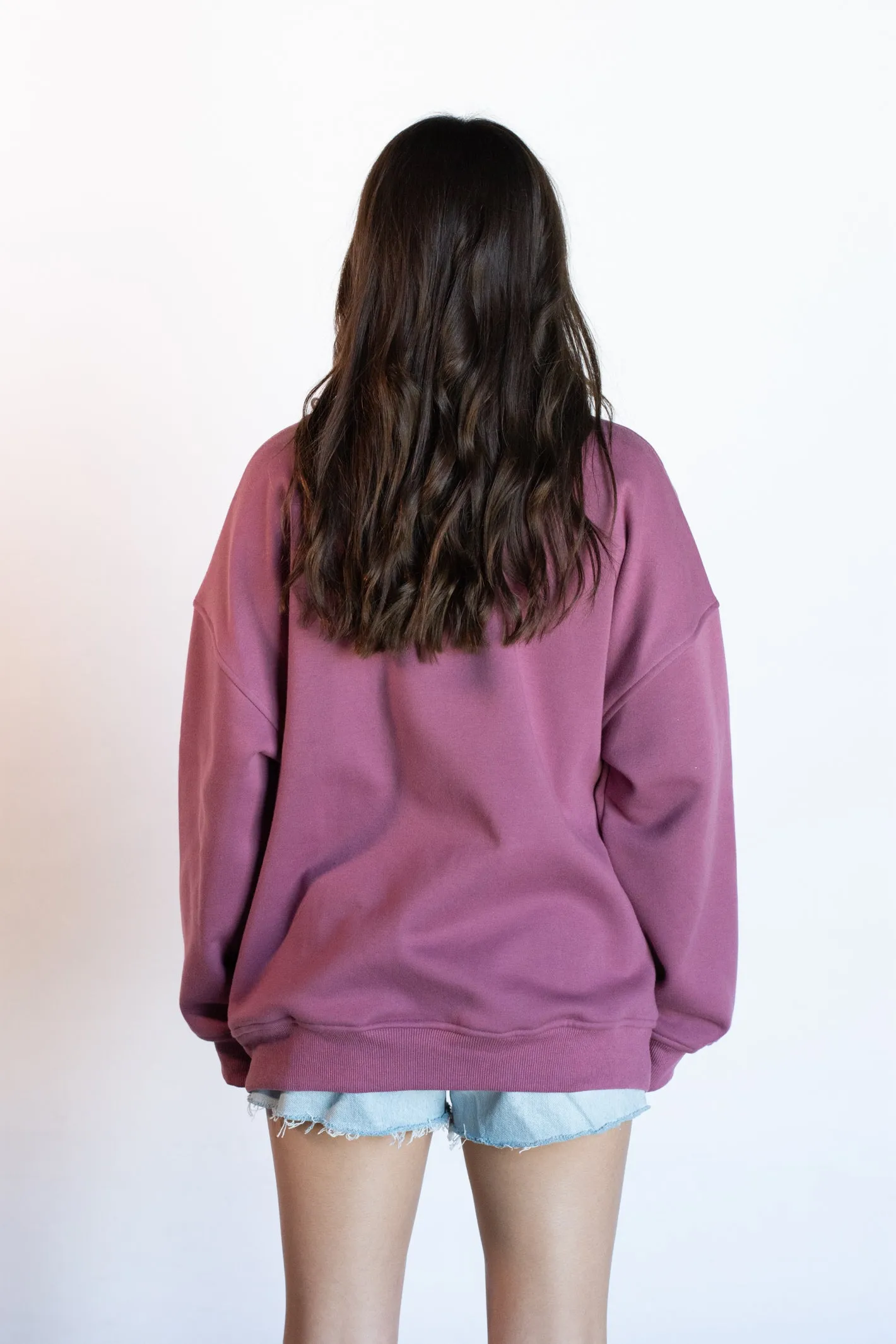 Monochromatic Sweatshirt Top