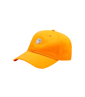 Orange Astro Logo Curved Visor Cap