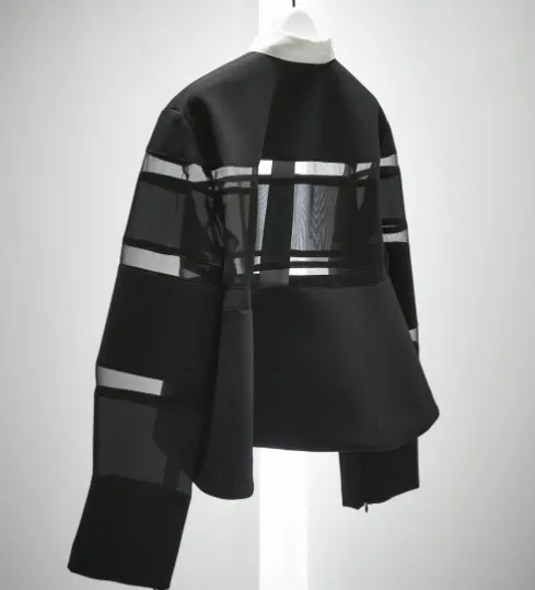 Plain Long Sleeves for Casual Street Style by sacai